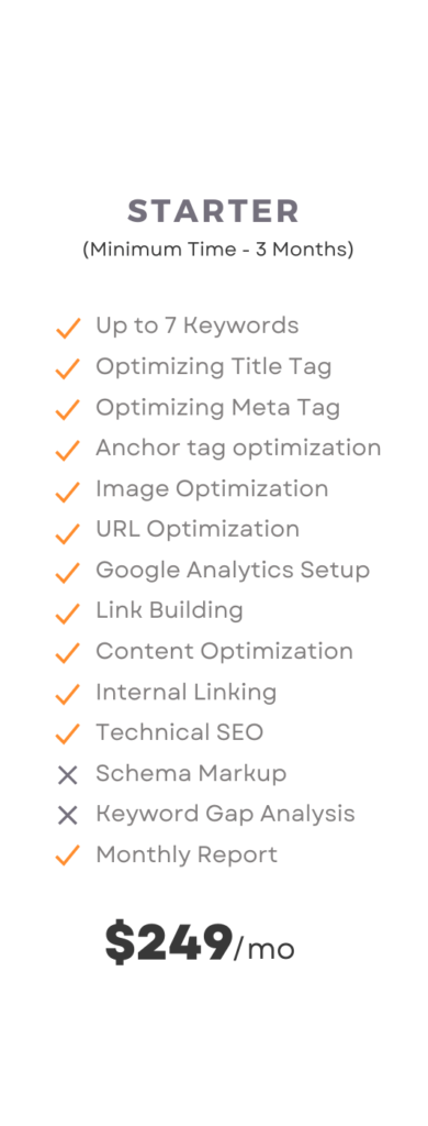 SEO services starter pack pricing