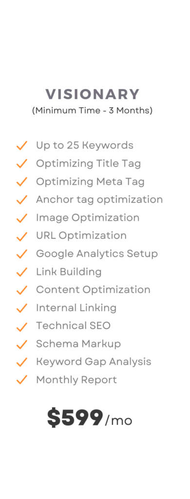 SEO services Visionary pack pricing