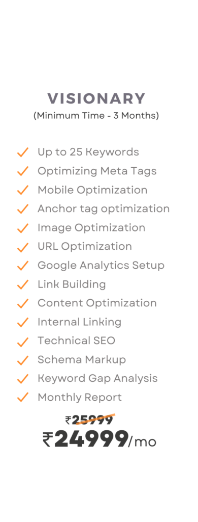 SEO services Visionary pack pricing