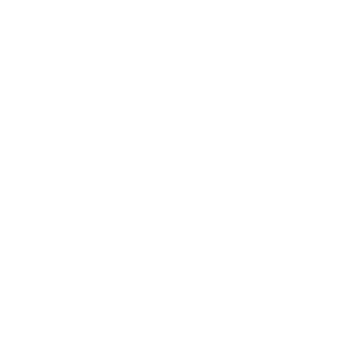 Logo 2 white png